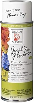 best spray paint for dried flowers