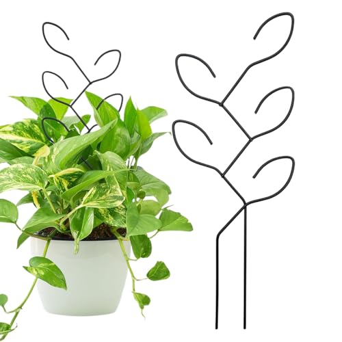 Enrejado De Plantas Pequeñas | Hojas De Frma Planta De Enrejado | Soporte Para El Hogar Para El Hogar De Soporte De La Arroximiento Resistente Estable Para Verduras Flowers I Picolo Enrejado Para