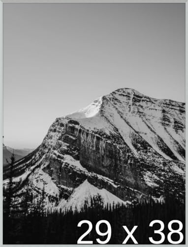 Frame It Easy 29 x 38 Satin Silver Metal Frame (Ashford)