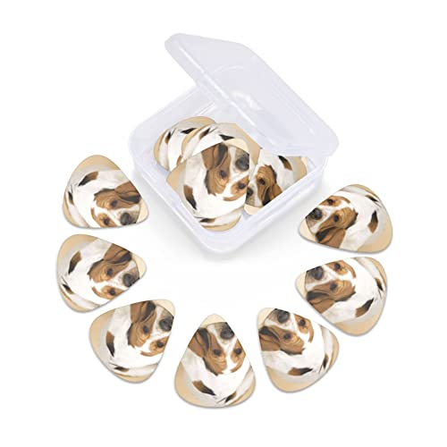 Pack de 12 médiators basset hound pour guitare électrique guitare acoustique diverses guitares - Les Beatles, Paul McCartney, John Lennon, RIngo Starr, George Harrison Pack de 12 médiators basset hound pour guitare électrique guitare acoustique diverses guitares – Image 6