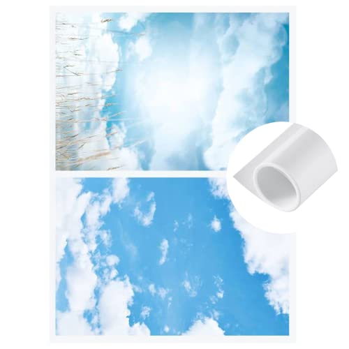 Pixapro 70x100cm Dual Sided Paper Background Printed Texture Blue/White Clouds Hard-Wearing, Crease Resistant & Waterproof Coated Photo Backdrop Product Photography Board (Set 53)