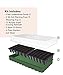 Burpee Greenhouse Indoor Starting Herbs, Flowers and Vegetables | Includes Dome, Watering, Seed Starter Tray, Coir Pellets | 10