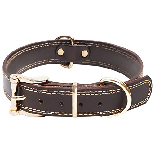 Collares Perros Cuero Marca TIANNTIANN