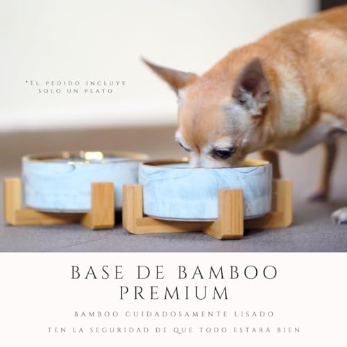 platos-para-perro, Pet Products Imagen adicional