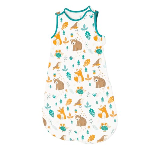 [HAYAHARU] X[p[ Ԃ Q  X[p[ 100 1.5Tog _ut@Xi[ EȒP _炩 xr[p X[p[ Q₦h~ Ȃ oYj