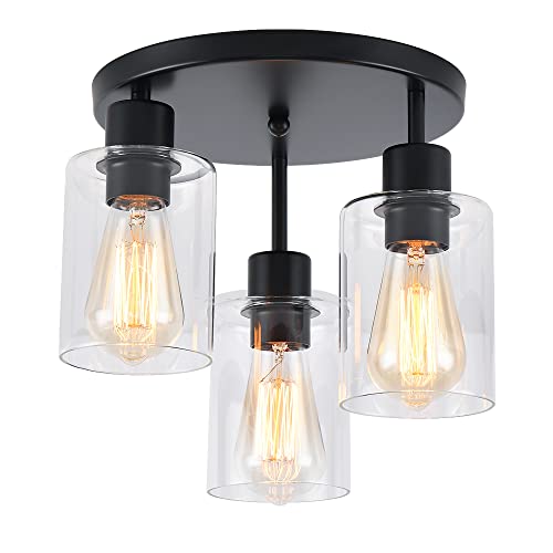 image for IHENGYANLT 3-Light Industrial Farmhouse Black Matte Light Fixtures Cei
