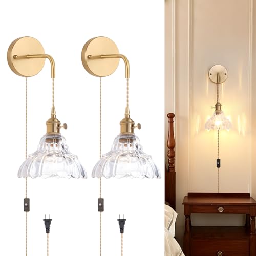 Image of Shenmoyl Vintage Plug in wall sconces Set of 2, 4.9FT Corded Wall Lamps with Clear Lily of The Glass Shade Hanging, sconces wall Decor for Bedroom Living Room Hallway Doorway