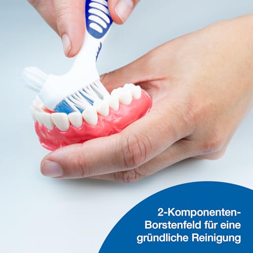 Prothesenbürste Wellsamed Set mit Corega Purfrisch Reinigungsschaum