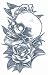 Tinsley Transfers Skull & Roses Prison Temporary Tattoo TT-PR314