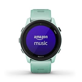 Garmin Forerunner 745, GPS Running Watch, Detailed Training Stats and On-Device Workouts, Essential Smartwatch Functions…