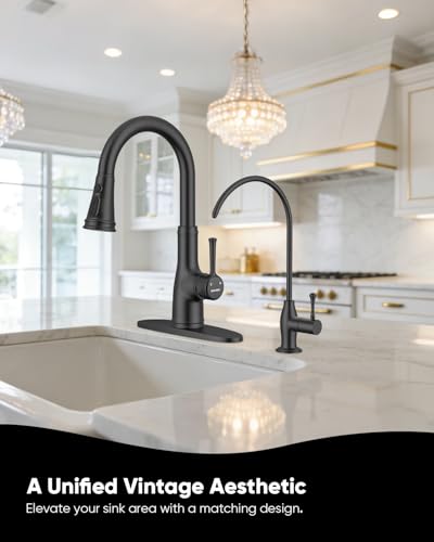 Image of WEWE Drinking Water Faucet with Vintage Design, Non-Air Gap, Matte Black | Lead-Free SUS304 Stainless Steel, 360 Swivel Spout, Double Seal Leak-Proof, Fits 1 /4 inch & 3 /8 inch RO Connectors