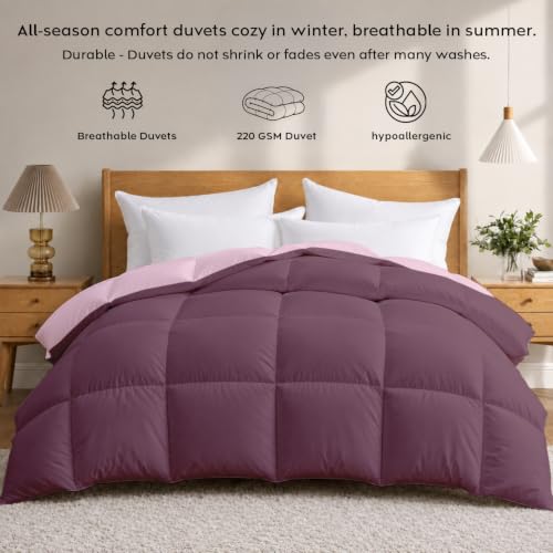 Image of AYKA Reversible Comforter 220 GSM Microfiber Reversible AC Comforter /Blanket for Winter /Quilt /Dohar /Duvets for King Size Blanket /Comforter Double Bed (Cameo & Plum, 90 * 100 inch)