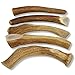 WhiteTail Naturals Deer Antlers for Dogs (1 lb Bulk Pack) Premium Antler Chews for Medium to Large Dogs – Grade A, Wild Sourced & Naturally Shed (Approx. 4-5 Count)
