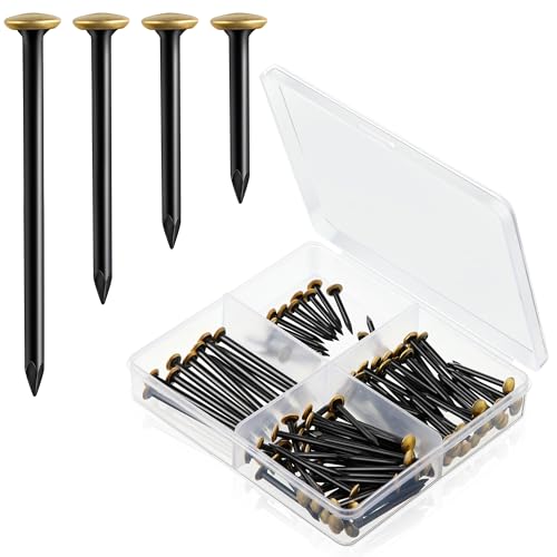 Enhon Juego de 120 Clavos para Cuadros (20/25/30/40mm) Clavos de Acero Inoxidable con Cabeza Dorada para Hormigón Ladrillo Madera Sin Taladrar Protege Paredes Incl Caja Organizadora de Compartimentos