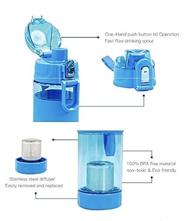 Alkaline Bottle 3 41NdE0QvwlL. SY450