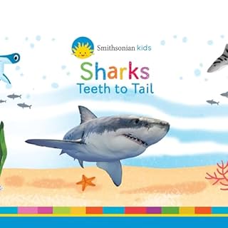 Smithsonian: Sharks cover art