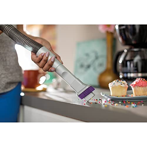 Power Max Rewind Pet #TOP4