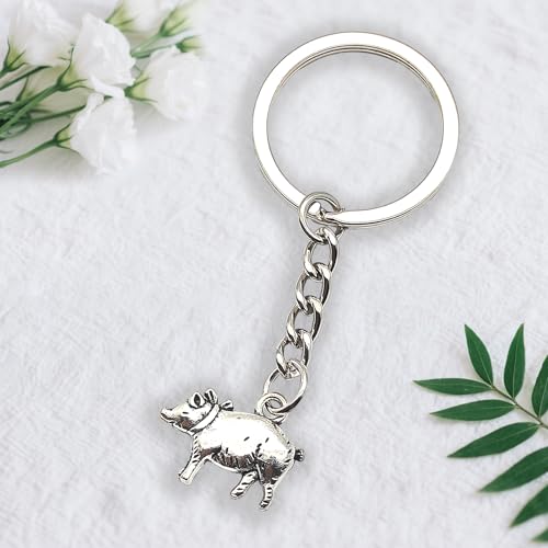 Zynara Glücksschwein Schlüsselanhänger Silber,Schwein Schlüsselanhänger für Mädchen,Glücksbringer Geschenk zur Einschulung oder Geburtstag für Tierliebhaber
