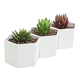 MyGift Hexagon White Ceramic Plant Pots, Small Succulent Planters, Set of 3