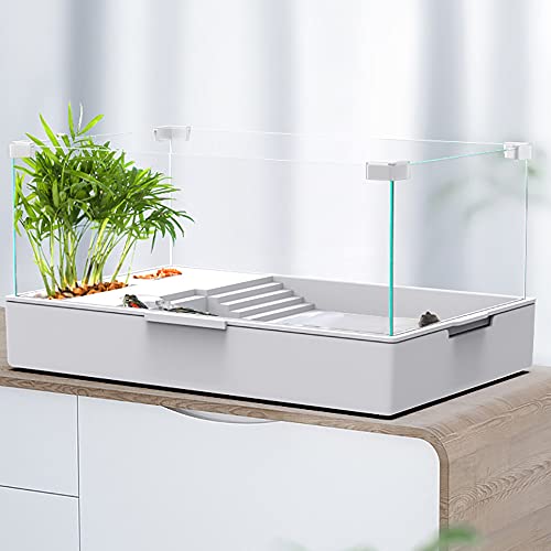 Reptielen Terrarium Kit Lang glazen reptielenterrarium Kweekbox Pet Feeding Box Little Animal Cage voor Spider Schildpad Slakken Hagedis Duizendpoot - Afbeelding 3