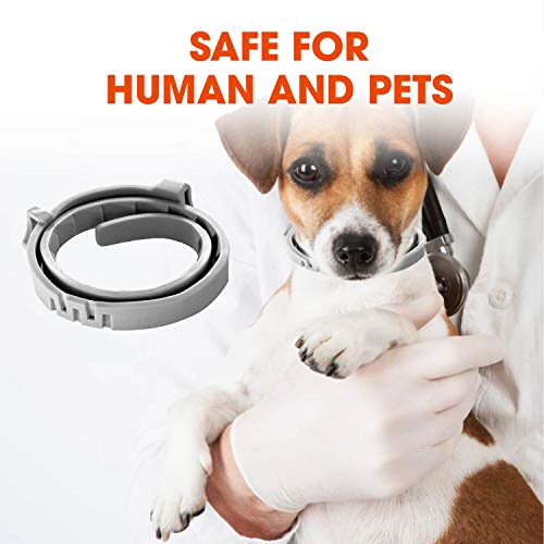 Dog Collar 12 Months, Collar For Dogs 25 Inches With Natural Herbs And Oils, Powerful Effect Collar For All Dog Breeds Up To 12 Months #TOP5