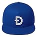 Hogue WS LLC Dogecoin Cryptocurrency Logo Hat (Embroidered Flat Bill Snapback Cap) Royal Blue