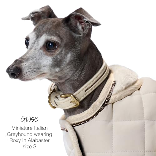 Roxy Hundehalsband, Robustes veganes Leder mit Messing und Kristallen, für kleine, mittelgroße und große Hunde, puderfarben, mittelgroß (58, 4 cm)-4