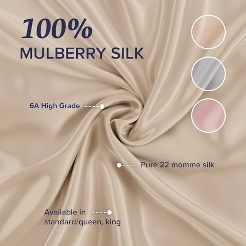 Image of Beckham Hotel Collection Silk Pillow Case with Zipper, 100% Mulberry Silk Pillowcase for Hair & Skin, 22 Momme 6A Grade, Oeko-TEX Certified, 1PC, King, Champagne