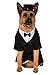Rubie's Big Dog Dapper Dog Costume