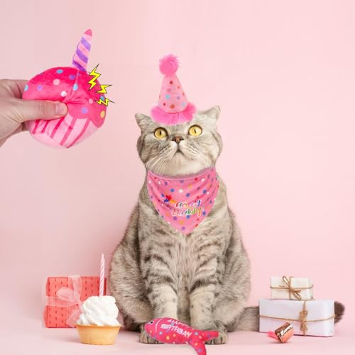 Jouets à herbe à chat interactifs à mâcher en peluche pour stimuler l'instinct - 8