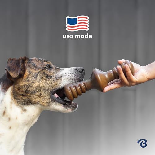 Image of Benebone Limited Edition Blueberry Large 4-Pack Dog Toys for Aggressive Chewers, Durable Dog Bones, Made in USA, Dog Toys for Large Dogs Under 90 lbs