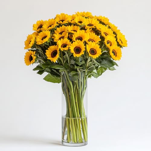 GlobalRose 100 Fresh Cut Yellow Sunflowers - Beautiful Sunbright Blooms