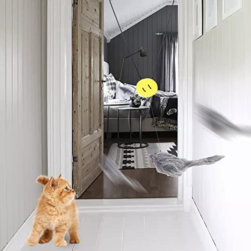 Brinquedos para gatos - Brinquedos para gatos Brinquedos para gatinhos, Brinquedos para gatos com po