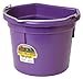 Little Giant Plastic Animal Feed Bucket (Purple) Flat Back Plastic Feed Bucket with Metal Handle (22 Quarts / 5.5 Gallons) (Item No. P22FBPURPLE)