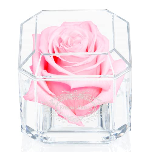 Eternal Petals A 100% Real Rose That Lasts Years, Handmade in UK – White Gold Solo (Light Pink)