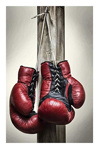 Robotime Rolife Sakura Bonsai TG415 Rolife DIY Miniatura Bonsái Bouwpack