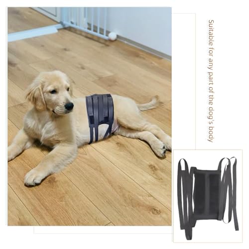Image of Dog Therapy Ice Pack Pet Cold Hot Therapy Universal Gel Pack Therapy Compression Leg Wrap Pain Relief Arthritis Brace for Sprained Injured Joints Reduce Swelling