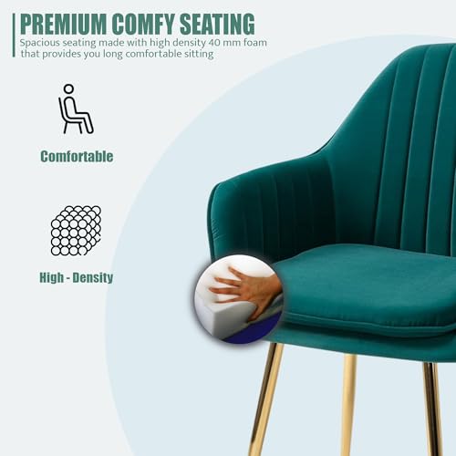 Image of Velvet Chair with for Home | Modern Accent Armchair in Soft Velvet Fabric with Golden Legs | Set of 2 Premium Accent Chair for Living Room Bedroom (Light Brown Floral) (Green floral pillow)