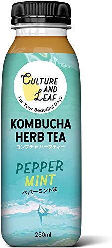 Kombucha HerbTea コンブチャ ハーブティー ペパーミント（250ml×24本）【要冷蔵】Culture & Leaf（発酵ドリンク＋ハーブティー）