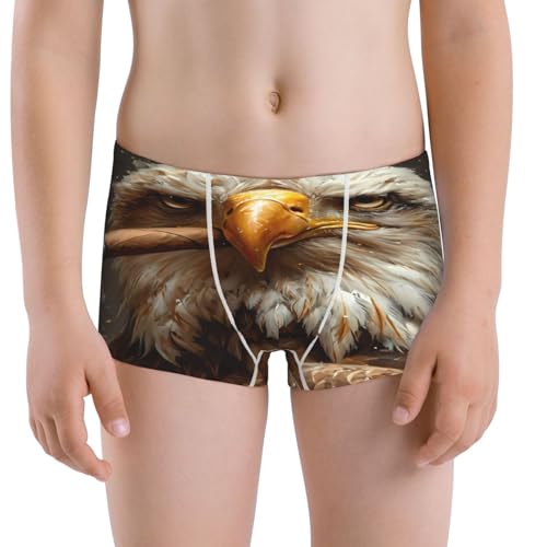 Boys' Cotton Boxer Brief Soft Underwear-Funny Bald Eagle