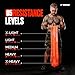 Undersun Resistance Bands for Working Out | 5-Level Heavy Resistance Bands, Door Anchor, Workout Program | Heavy Duty Fitness Resistance Bands | Orange