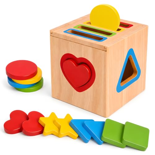 HaoVrisn Montessori Holzspielzeug ab 1 2 3 Jahr, Holzspielzeug für Jungen und Mädchen im Alter von 2 Jahren Steckspielzeug und Lernspielzeug ab 1 Jahr Motorikspielzeug ab 1 Jahr