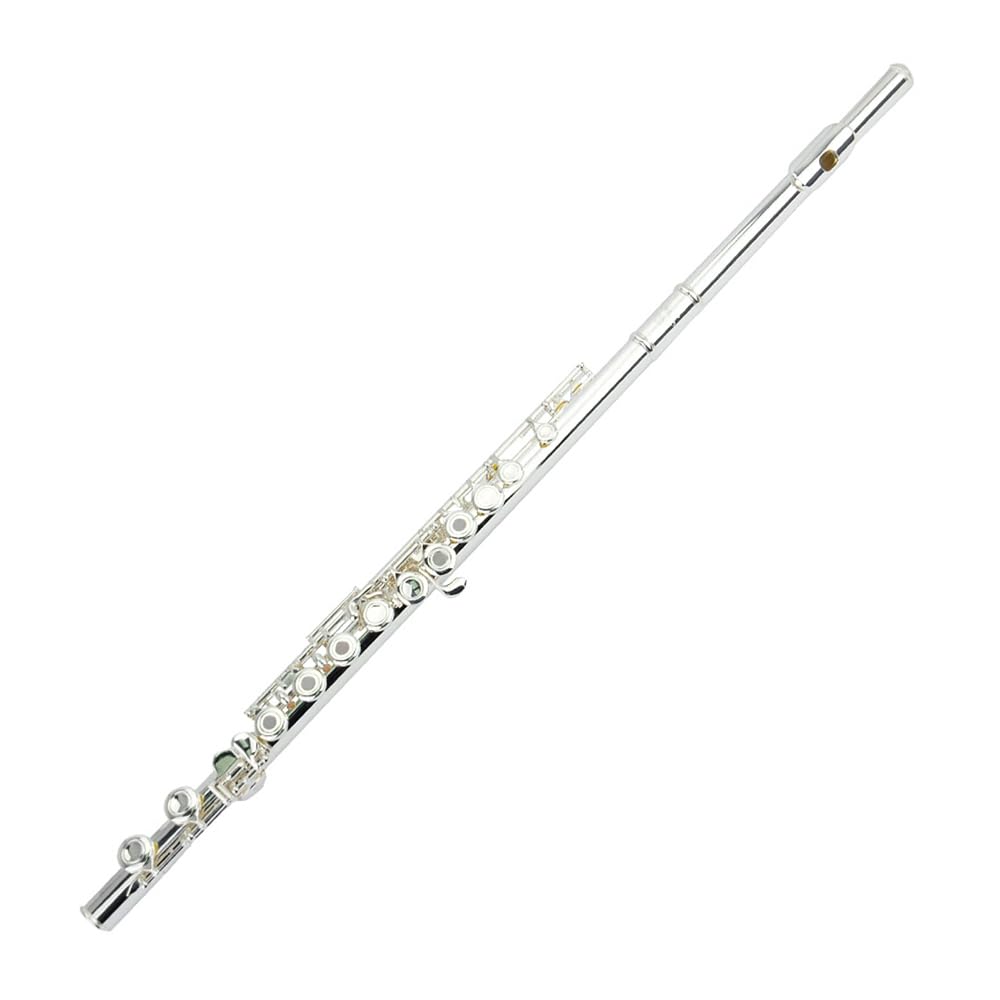 HCZKIUJY C Key Closed Hole Flute Instrument, Suitable for Beginners, Including Storage Box,16 holes (17 holes)