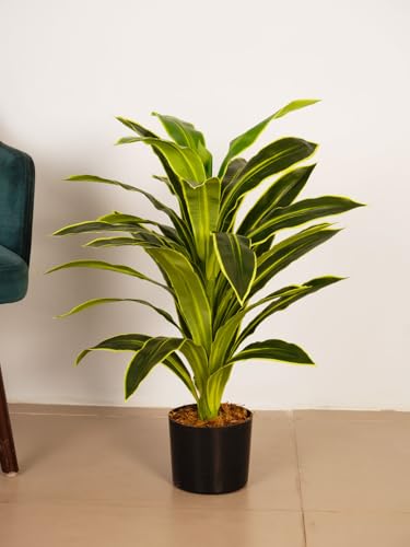 Image of ARICK DECOR 3Ft Artificial Variegated Dracaena Plant in Pot, 3ft Realistic Faux Song of India Tree, White Green Peacock Shaped Floor Plant for Home & Office
