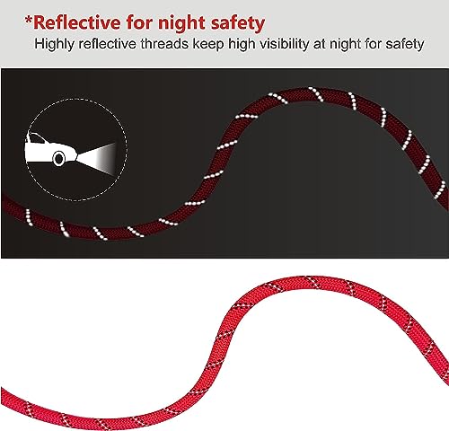 Image of 5FT Strong Dog Leash with Comfortable Padded Handle and Highly Reflective Threads Dog Leashes for Small Medium and Large Dogs (Double Handle - Red)