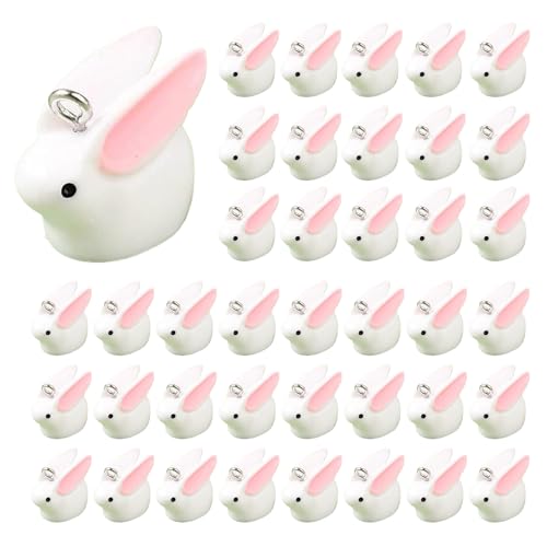 MOUNTTU 40 rbg`[ ~jzCgrbgC[X^[`[ 킢oj[ DIY WG[ CO lbNX L[z_[ ANZT[ C[X^[oj[