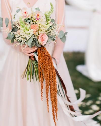 5 piezas de flores secas colgantes Amaranthus marrón miniatura 5