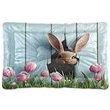 SEHANY Easter Egg and Bunny Dog Bed Cat Bed with Non-Slip Bottom, Kennel Bed Crate Soft Pet Bed Pad Washable Dog Beds for Small Medium Large Dogs Cats,18 x 24 Inch