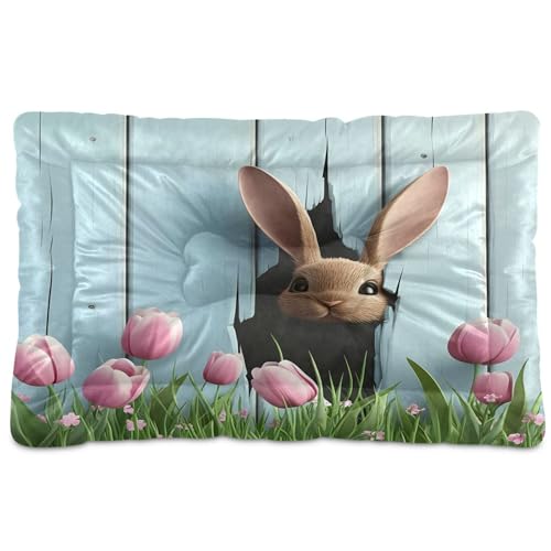 SEHANY Easter Egg and Bunny Dog Bed Cat Bed with Non-Slip Bottom, Kennel Bed Crate Soft Pet Bed Pad Washable Dog Beds for Small Medium Large Dogs Cats,18 x 24 Inch
