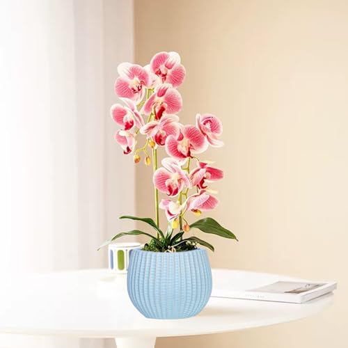 Pots en céramique durables pour sublimer chaque plante intérieure - 3